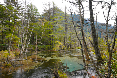 上高地の川