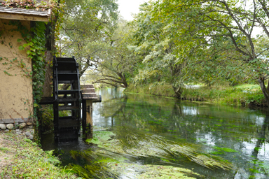 まさに清流の安曇野わさび農園