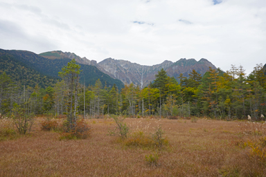 上高地の山と森