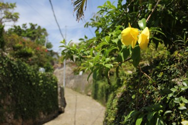 金城町の石畳道