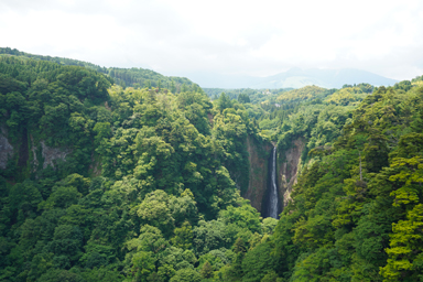 吊橋からの滝の風景