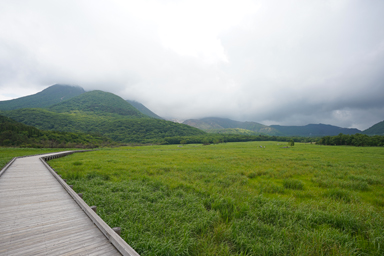 長者原タデ原湿原の木道