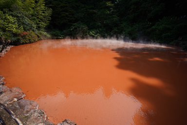 別府の地獄めぐりの赤い血の池地獄