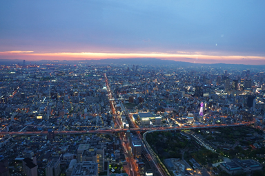 あべのハルカスからの大阪の街並み