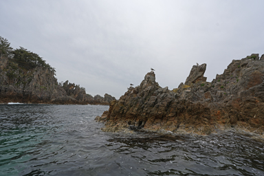 佐渡の尖閣湾の荒々しい岩とかもめ