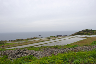 佐渡の水がはった田んぼの段々畑と海