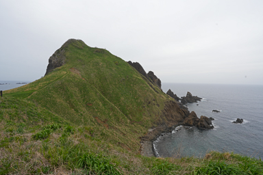 佐渡の緑の岩肌をした断崖絶壁の大野亀
