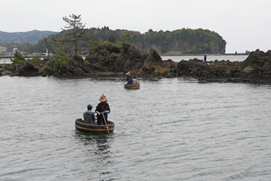 佐渡島の2艘並んで進むたらい舟