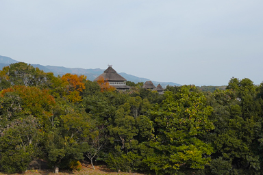 吉野ケ里遺跡の森と遺跡
