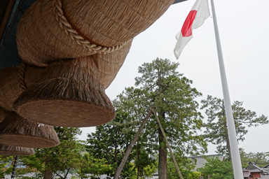 出雲大社の神楽殿の大注連縄