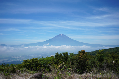 富士見ヶ丘公園からの富士山
