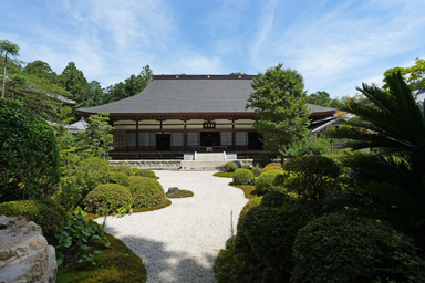 龍潭寺の庭園と本堂