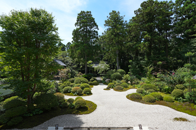 龍潭寺の枯山水庭園