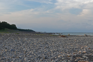 三保の松原と富士山の遠景