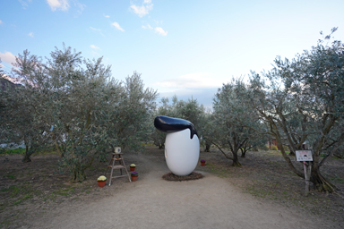 オリーブのリーゼント