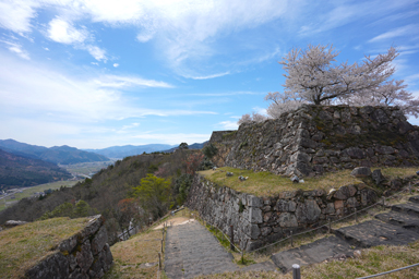 桜と竹田城