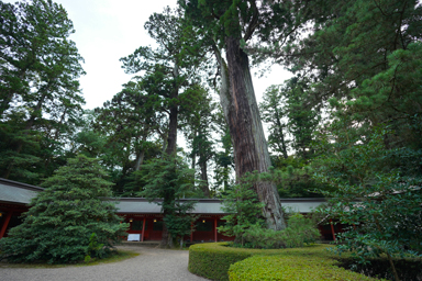 香取神社の境内