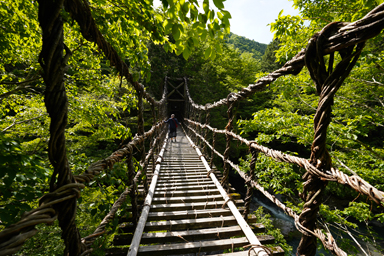 奥祖谷二重かずら橋の吊り橋