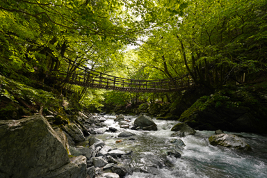 奥祖谷の静かな自然