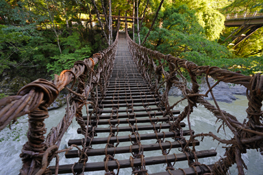 かずら橋の足元と川