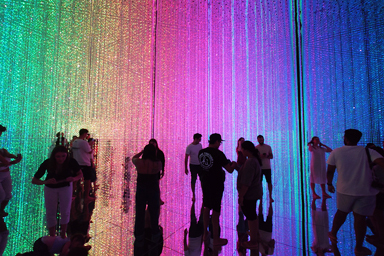 チームラボプラネッツの光の展示