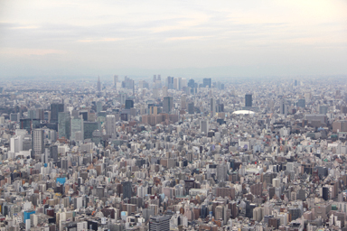 スカイツリーからの東京の街並み