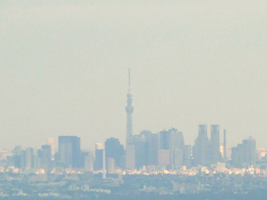 高尾山の山頂からのスカイツリー