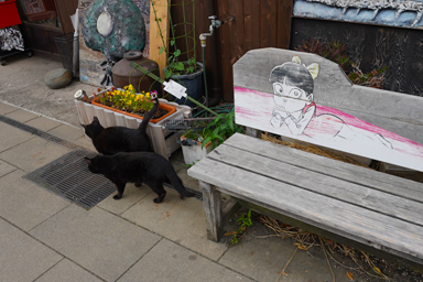 境港の猫娘と黒猫