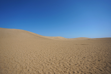 鳥取砂丘の広がる砂丘