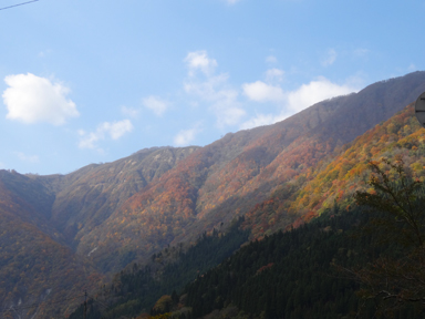 飛騨地方の紅葉の山