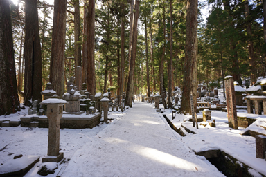 お墓が並ぶ奥の院