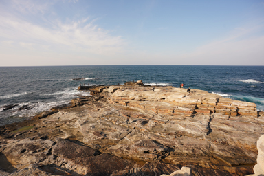 白浜の千畳敷の岩畳と波