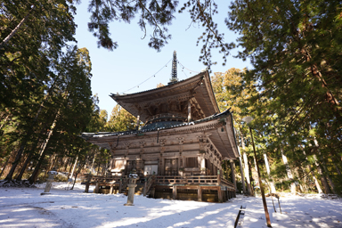 高野山の西塔と雪
