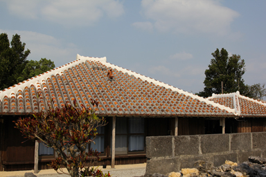 竹富島の伝統的な建物と石垣