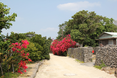 竹富島の赤瓦屋根と石垣の町並み