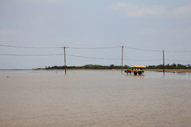 西表島の緑に包まれた港