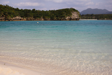 海中の魚が見えるほどの透明な海