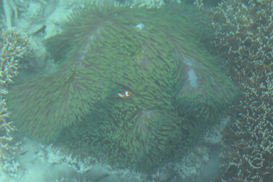 海に浮かぶ岩と空の風景