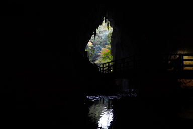 秋芳洞の岩肌と光