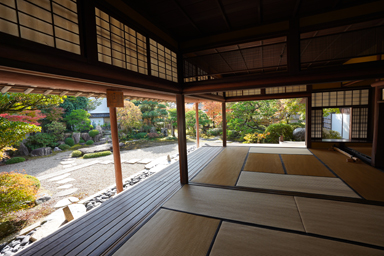 菊屋家住宅の庭