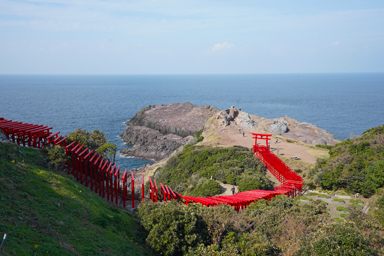 斜面に鳥居が連なる元乃隅神社