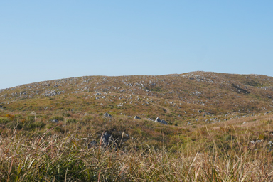 秋吉台の自然風景