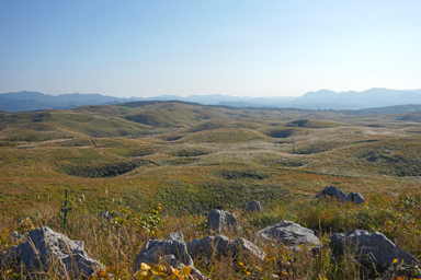 秋吉台の無数に転がる白い石