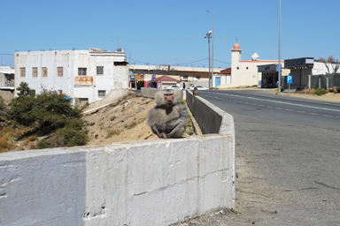 アブハー優しい住民と優しいサルのサウダ・ビューポイントの風景