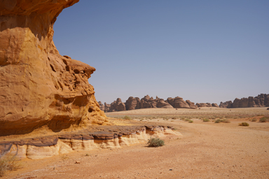 アルウラの砂漠の中で個性的な岩があちこち現れるヘグラ遺跡