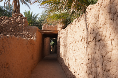 両側を壁に囲まれた細い道には屋根もあるオアシストレイル