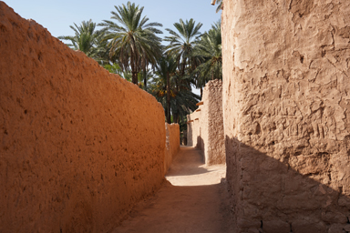 ヤシの木の林があちこちに現れるおしゃれで古びたオアシストレイル