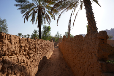 誰もいないまっすぐ伸びるオアシス・ヘリテイジ・トレイル