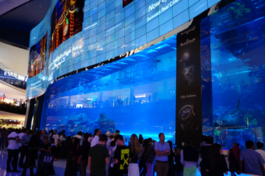 巨大水槽を無料で見られるスポット