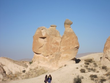 カッパドキアの奇岩地帯でラクダの形をした岩